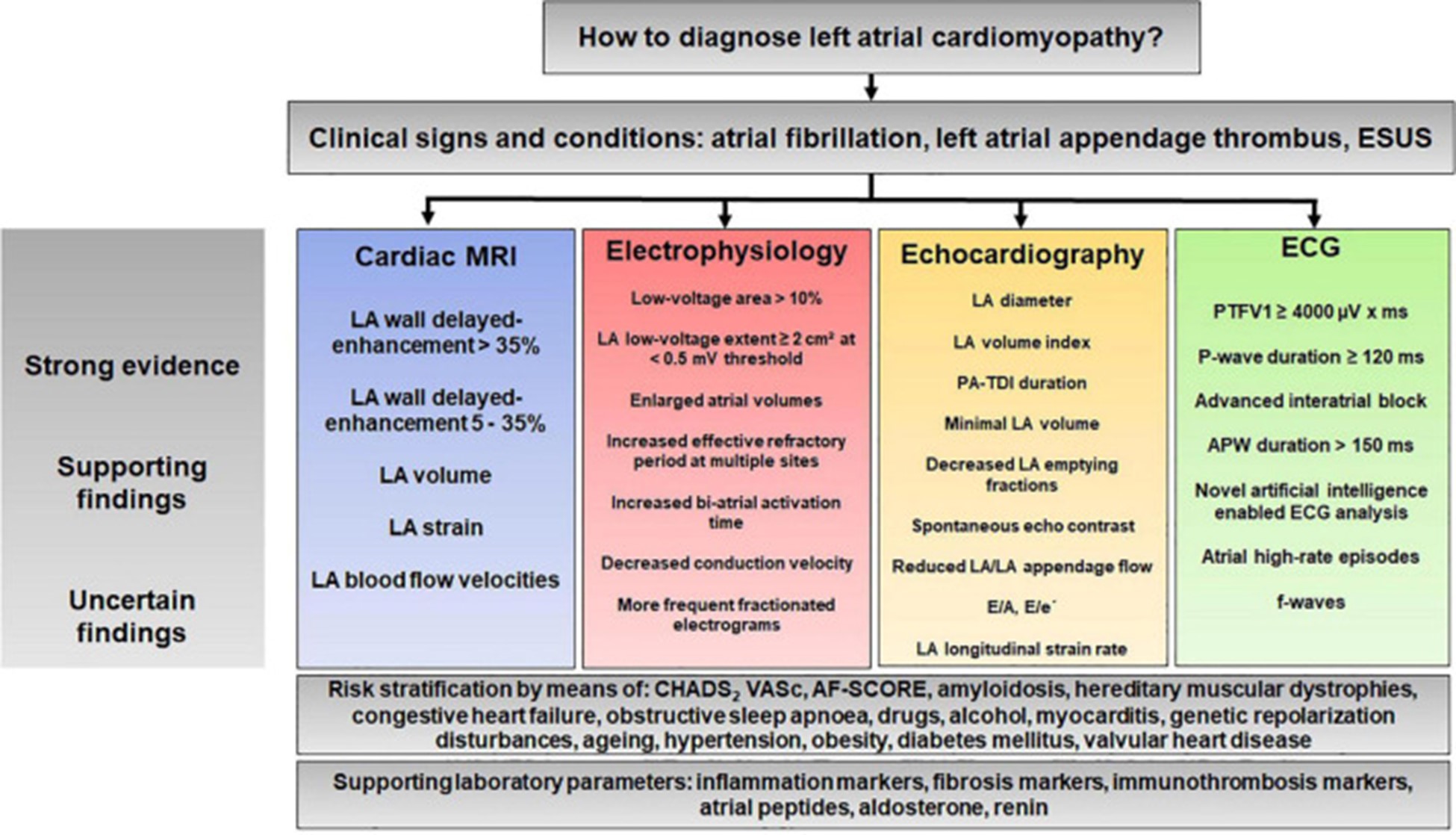 【佳学基因检测】左心房心肌病的基因解码、基因检测及其个性化的治疗 【佳学基因检测】左心房心肌病的基因解码、基因检测及其个性化的治疗